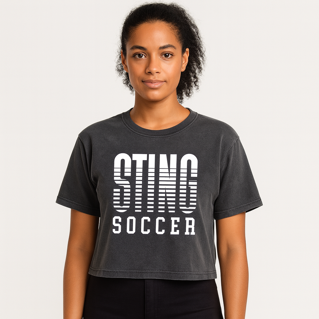 Sting 24 Gradient Comfort Color Women's Boxy Tee